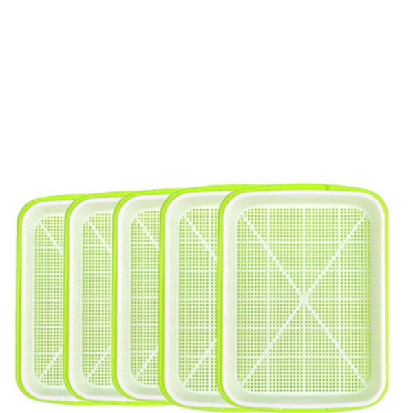sprouting trays